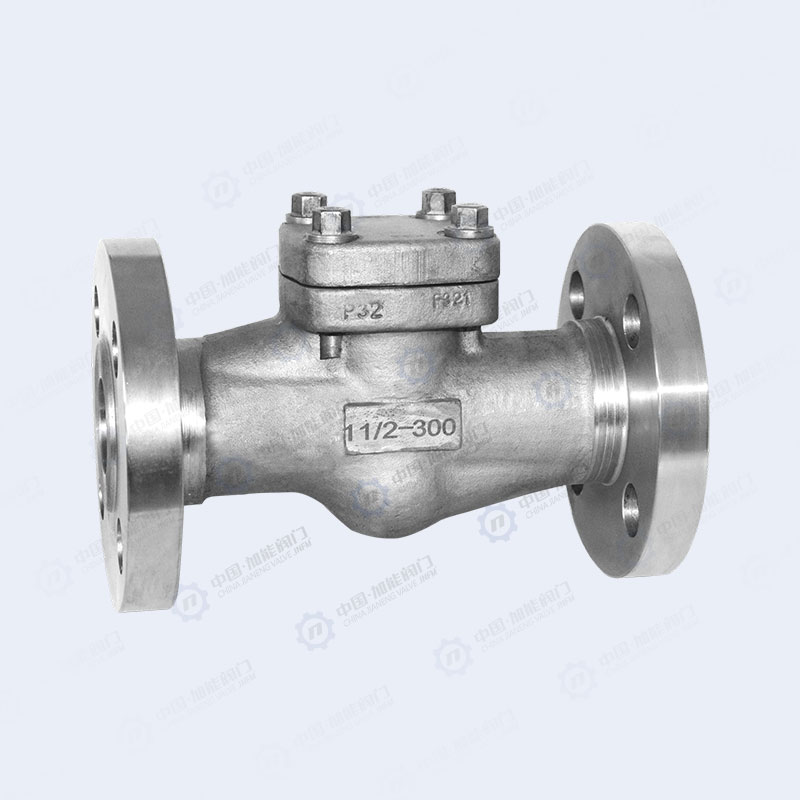 Forged steel flange check valve