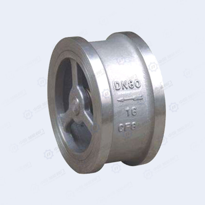 Wafer check valve -2
