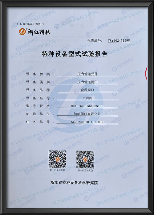 特种设备型式试验报告-止回阀