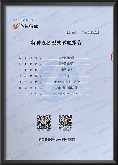 特种设备型式试验报告-蝶阀