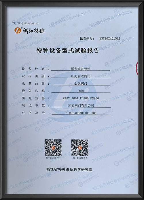 特种设备型式试验报告-闸阀