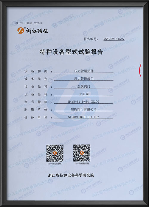 特种设备型式试验报告-止回阀