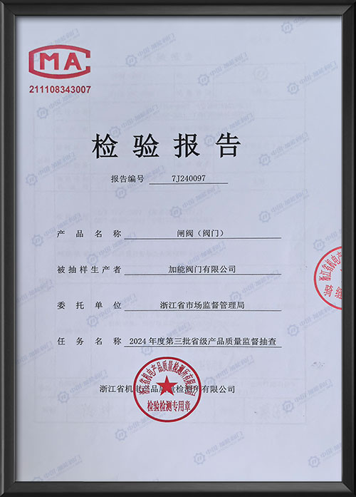检验报告-闸阀