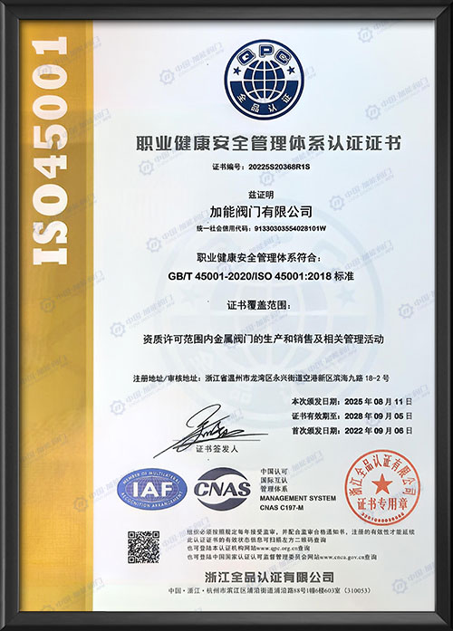 职业健康安全管理体系认证证书-中文