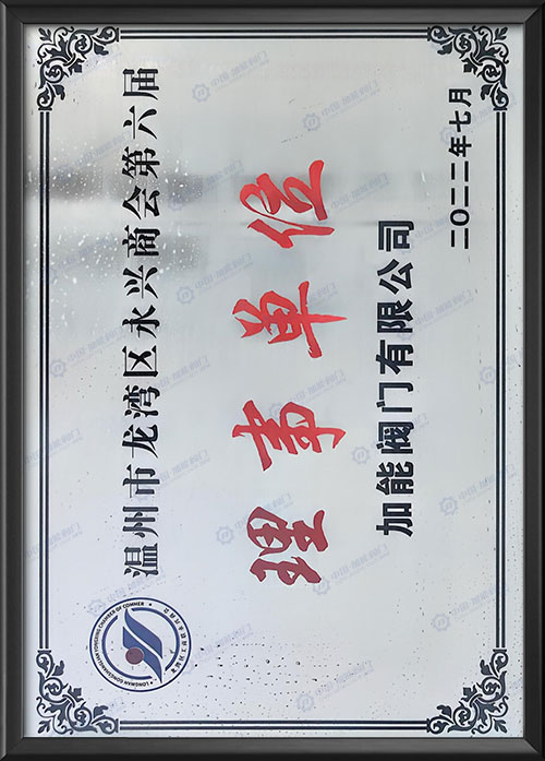 温州市龙湾区永兴商会理事单位